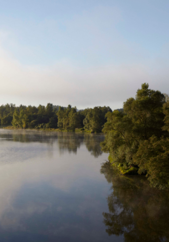 Along the gentle river